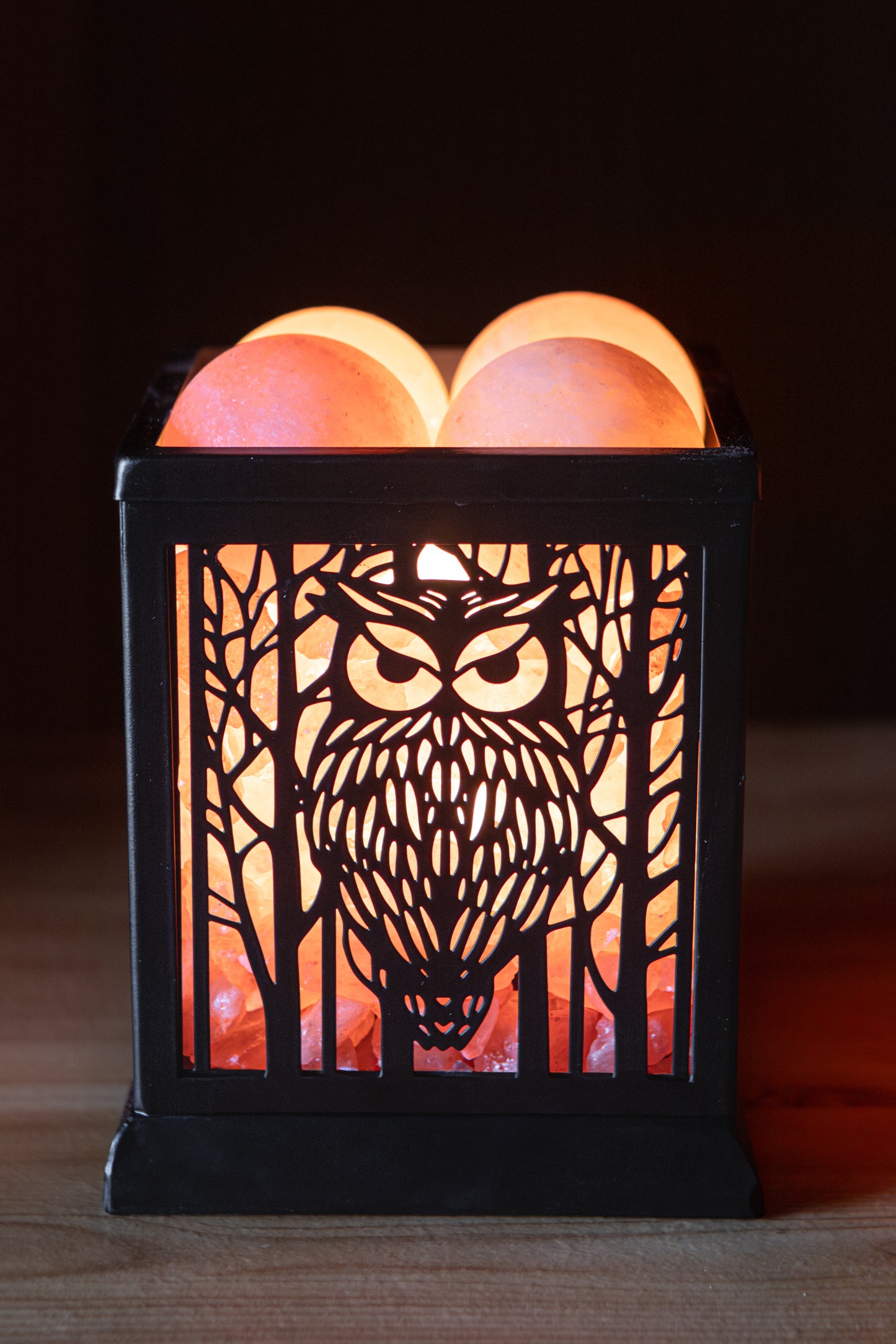 Owl Silhouette - Himalayan Salt Therapy Lamp (with 4 massage balls)