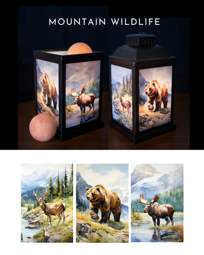 Himalayan Salt Therapy Lantern