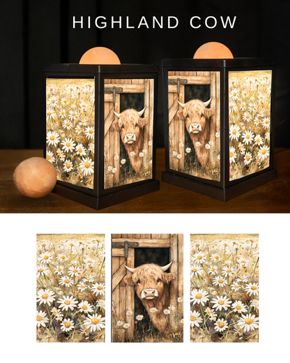 Himalayan Salt Therapy Lantern