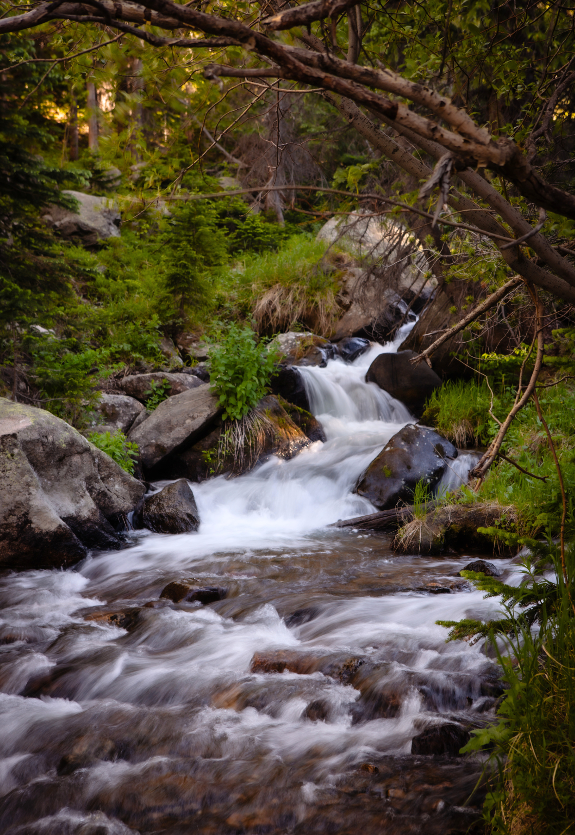 Alberta Falls