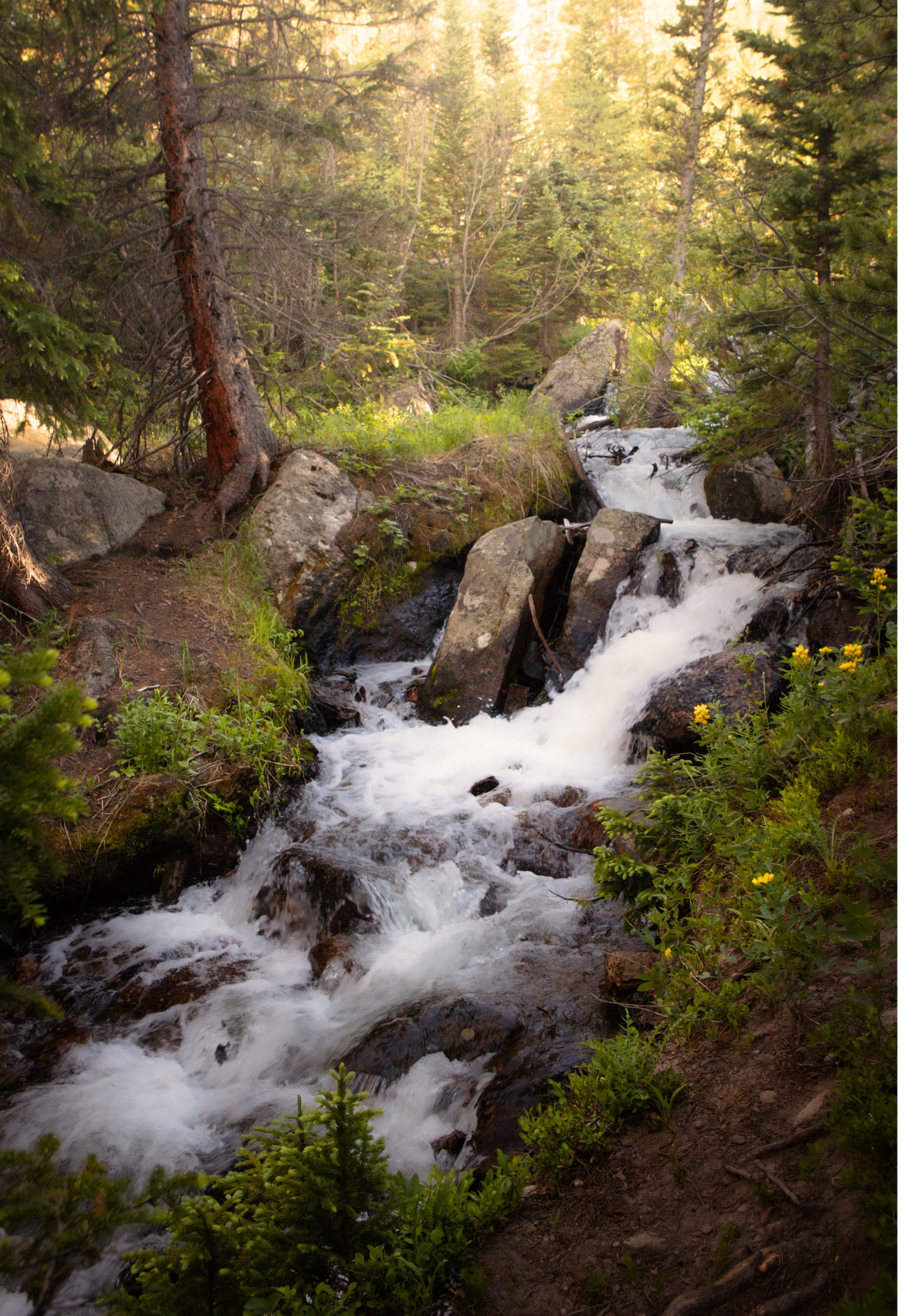 Alberta Falls