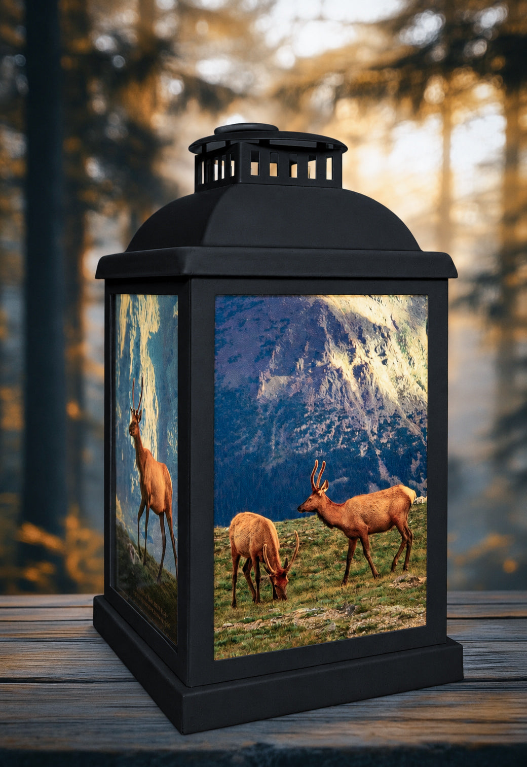 Elk of Trail Ridge Road