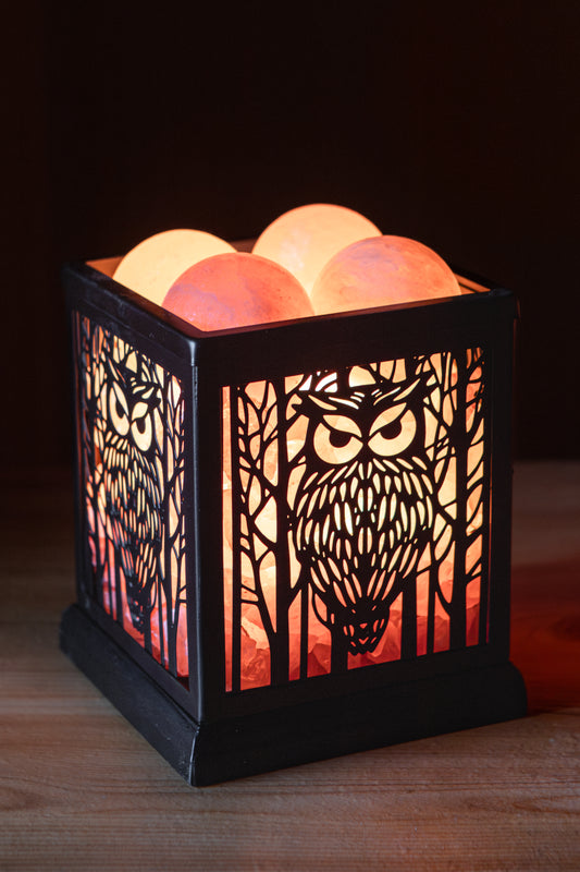 Owl Silhouette - Himalayan Salt Therapy Lamp (with 4 massage balls)