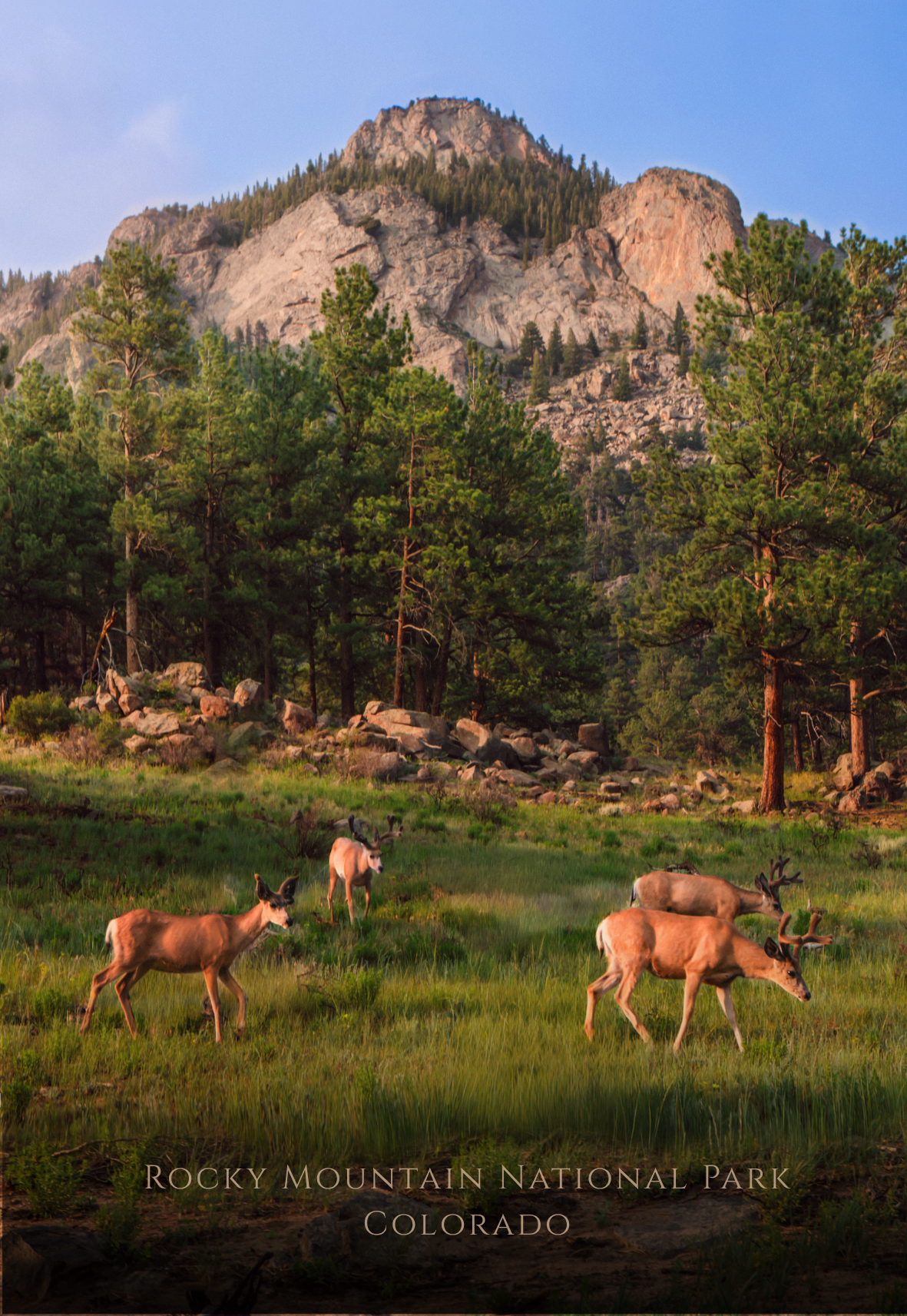 Rocky Mountain National Park