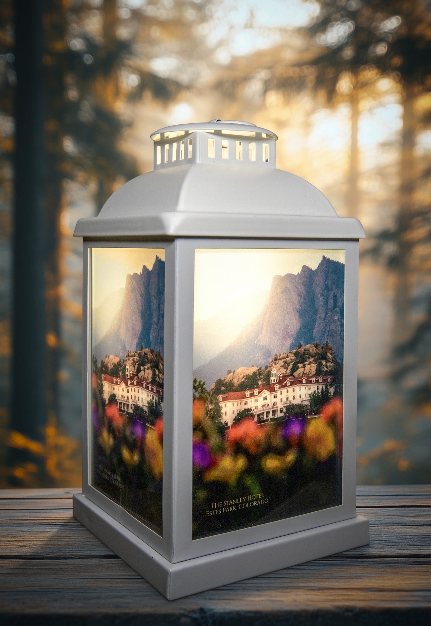 The Stanley Hotel